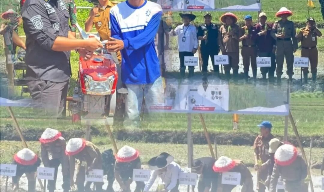 PENANAMAN PADI SERENTAK DI SELURUH WILAYAH PROVINSI JAMBI